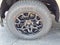 2026 Ford F-150 XLT 4WD SUPERCREW 5.5 BOX