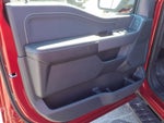 2026 Ford F-150 XLT 4WD SUPERCREW 5.5 BOX